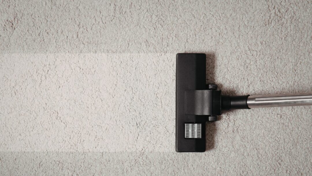 Carpet deep cleaning in progress Cape Town